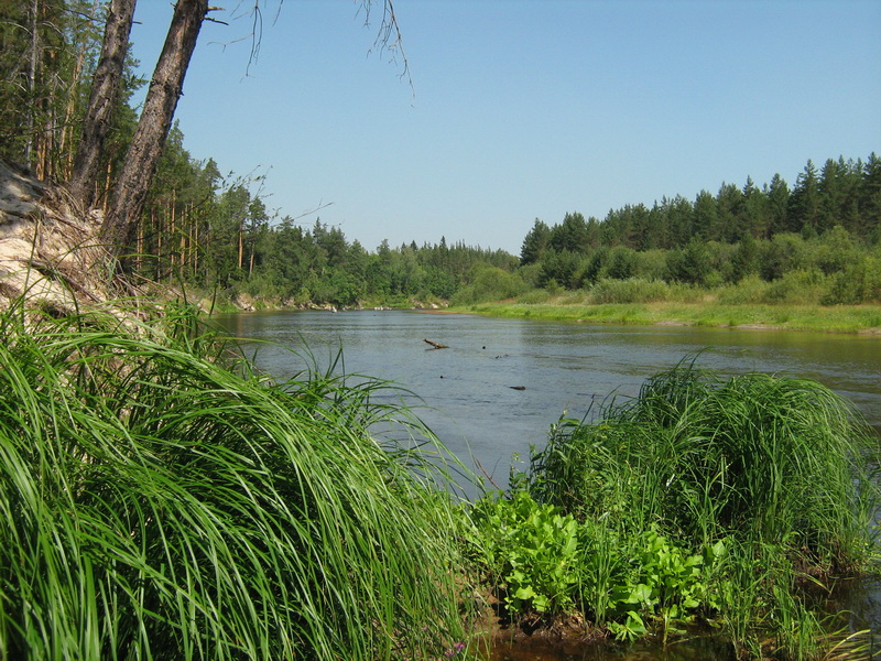 Река Белый Лух Фото